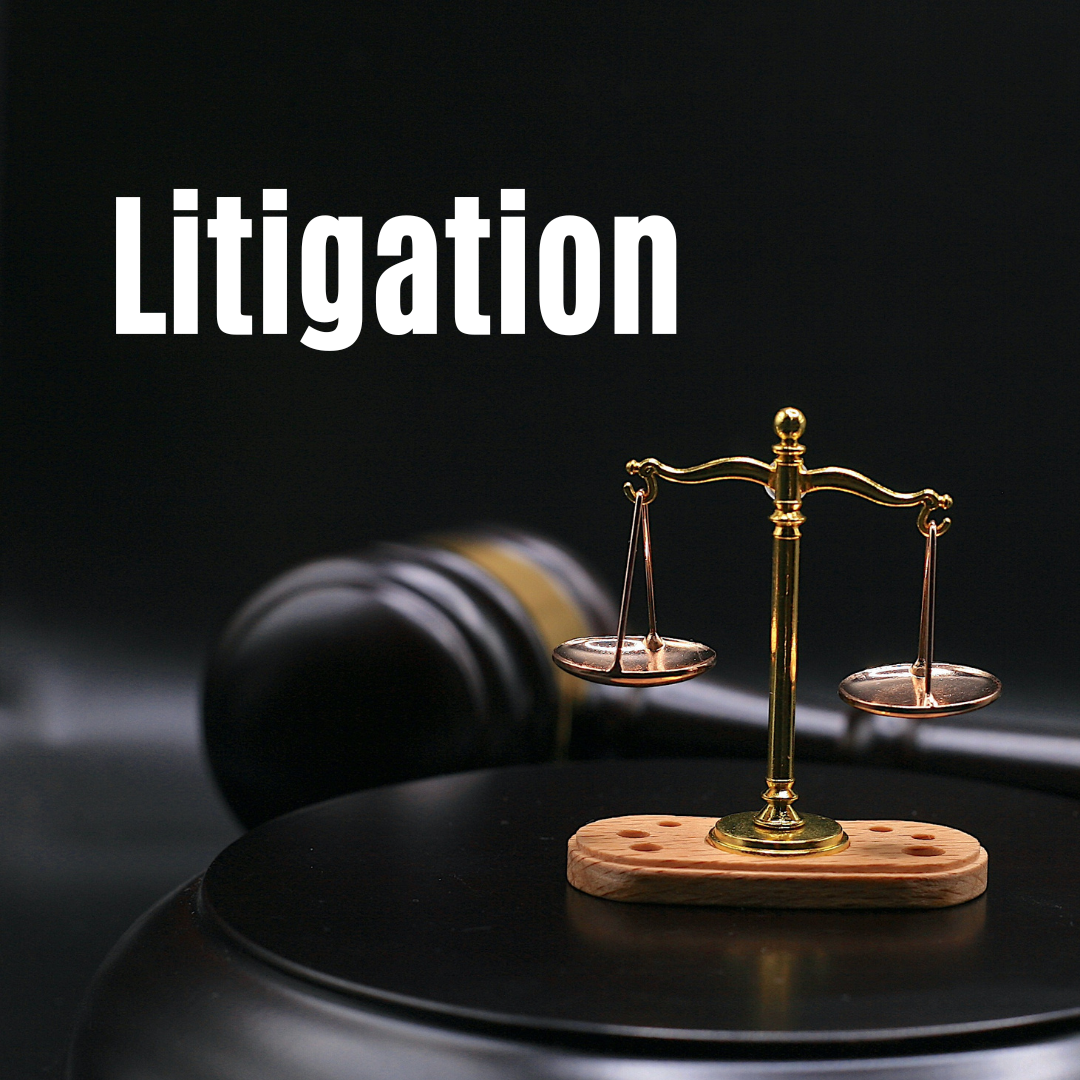 Axegal litigation expert